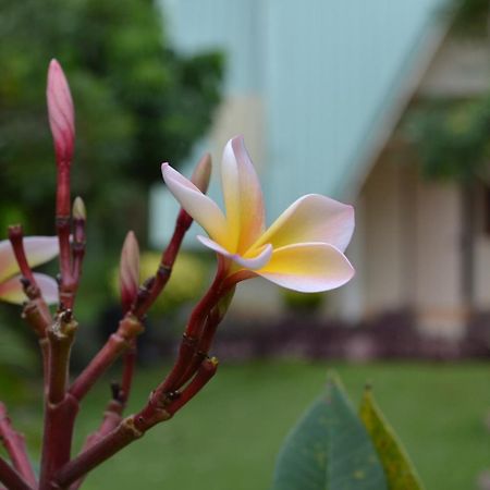 Touch Star Resort - Doi Inthanon Chom Thong Zewnętrze zdjęcie